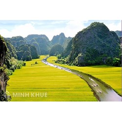 Thủ tục đăng ký nhãn hiệu tại tỉnh Ninh Bình