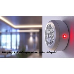 Mức xử phạt khi không mua bảo hiểm cháy nổ?