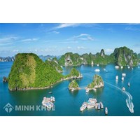 Thành lập công ty tại tỉnh Quảng Ninh
