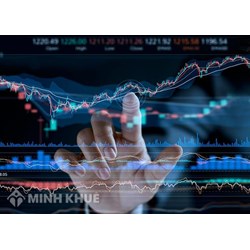 Sàn hose là gì? Những thông tin nhà đầu tư cần biết về sàn HOSE