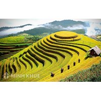 Thành lập công ty tại tỉnh Yên Bái