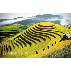 Thành lập công ty tại tỉnh Yên Bái