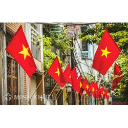 Cách treo Cờ Tổ quốc, Cờ Đảng dịp Lễ 2/9, 30/4 và 1/5