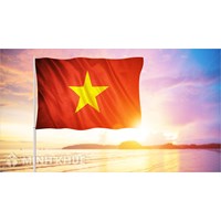 Ý nghĩa lá cờ tổ quốc, cờ đỏ sao vàng của Việt Nam là gì?