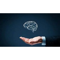 Thời hạn bảo hộ nhãn hiệu là bao lâu?