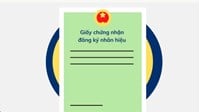 Mẫu Giấy chứng nhận đăng ký nhãn hiệu mới nhất