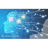 Thủ tục đăng ký thương hiệu tại Thành phố Cần Thơ