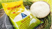 Thủ tục đăng ký nhãn hiệu tại tỉnh Sóc Trăng