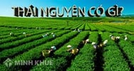 Thành lập công ty tại tỉnh Thái Nguyên