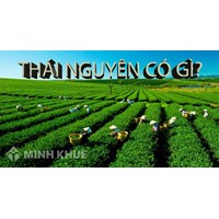 Thành lập công ty tại tỉnh Thái Nguyên
