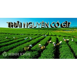 Thành lập công ty tại tỉnh Thái Nguyên