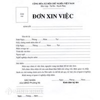 Mẫu đơn xin việc hay nhất bằng tiếng việt và tiếng anh