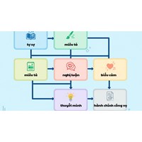 Phương thức biểu đạt là gì? Có bao nhiêu phương thức biểu đạt