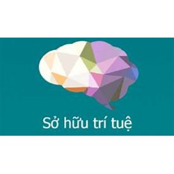 Đơn đăng ký nhãn hiệu bị từ chối thì phải làm sao và cách xử lý?