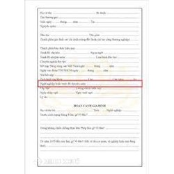 Cách ghi nghề nghiệp chuyên môn trong đơn xin việc?