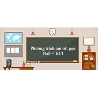 Phương trình ion là gì? Cách viết phương trình ion rút gọn, đầy đủ