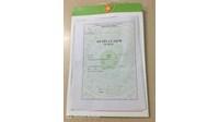 Mẫu sơ yếu lý lịch tự thuật mới nhất 2025 và cách viết