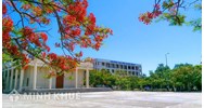 Mẫu đơn xin chuyển ngành học cho học sinh, sinh viên