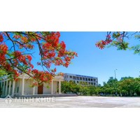 Mẫu đơn xin chuyển ngành học cho học sinh, sinh viên