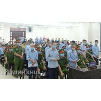 Mẫu đơn xin khoan hồng của Đảng và Nhà nước mới nhất