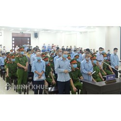 Mẫu đơn xin khoan hồng của Đảng và Nhà nước mới nhất