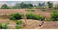Mẫu đơn xin xác nhận đất khai hoang theo quy định mới nhất