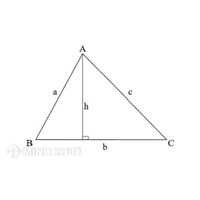 Công thức tính diện tích hình tam giác chính xác nhất