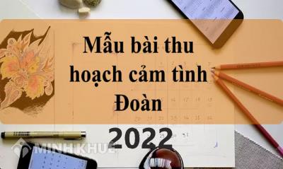 Mẫu Bài thu hoạch cảm tình đoàn mới nhất 2023