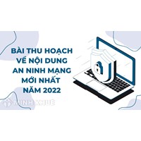 Bài thu hoạch về nội dung an ninh mạng mới nhất