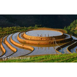 Đăng Ký Khuyến Mại Tại Yên Bái Thực Hiện Như Thế Nào?