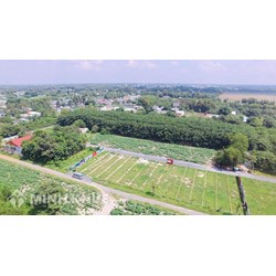 Mẫu đơn tố cáo lấn chiếm đất đai năm 2024 viết như thế nào?