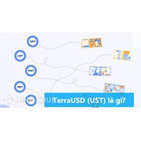 TerraUSD (UST) là gì? UST Coin là gì? Ust token là gì?