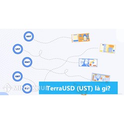 TerraUSD (UST) là gì? UST Coin là gì? Ust token là gì?