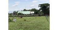 Điều kiện diện tích tối thiểu tách thửa đất tại Phú Yên
