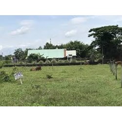 Điều kiện diện tích tối thiểu tách thửa đất tại Phú Yên