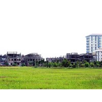 Điều kiện diện tích tối thiểu tách thửa đất tại Thái Bình