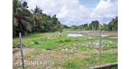 Mẫu hợp đồng chuyển nhượng đất khai hoang và hướng dẫn