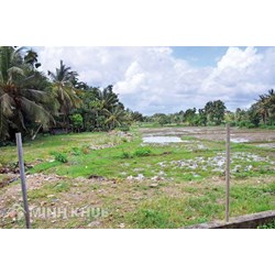 Mẫu hợp đồng chuyển nhượng đất khai hoang và hướng dẫn