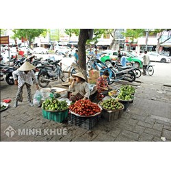 Kinh tế phi chính thức là gì? Tổng quan về nền kinh tế phi chính thức tại Việt Nam