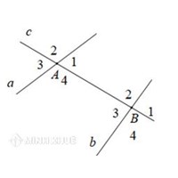 Góc đồng vị là gì? Cách chứng minh hai góc đồng vị?