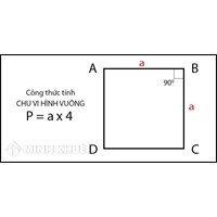 Công thức tính chu vi hình vuông đơn giản, chính xác nhất