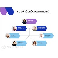 Sơ đồ tổ chức doanh nghiệp là gì? Mẫu sơ đồ tổ chức doanh nghiệp