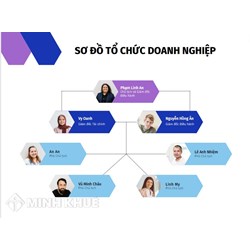 Sơ đồ tổ chức doanh nghiệp là gì? Mẫu sơ đồ tổ chức doanh nghiệp