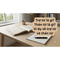 Trợ từ là gì? Thán từ là gì? Ví dụ về trợ từ và thán từ ngữ văn 8