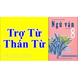 Trợ từ là gì? Thán từ là gì? Ví dụ về trợ từ và thán từ ngữ văn 8