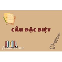 Câu đặc biệt là gì? Cho ví dụ về câu đặc biệt?
