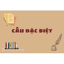 Câu đặc biệt là gì? Cho ví dụ về câu đặc biệt?