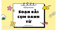 Danh từ là gì? Cụm danh từ là gì? Cho ví dụ về danh từ