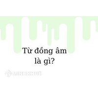Từ đồng âm là gì? Công dụng, phân loại và Ví dụ về từ đồng âm