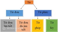 Từ ghép là gì? Phân loại, ví dụ và cách phân biệt từ ghép trong tiếng Việt